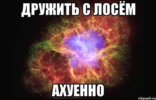 дружить с лосём ахуенно