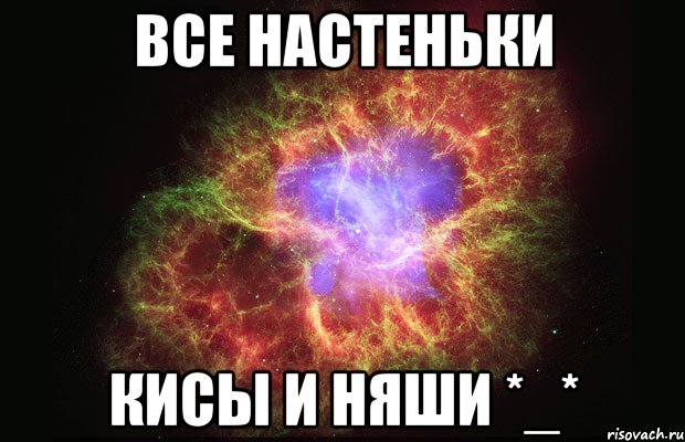 все настеньки кисы и няши *_*