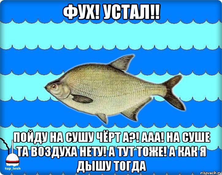 фух! устал!! пойду на сушу чёрт а?! ааа! на суше та воздуха нету! а тут тоже! а как я дышу тогда