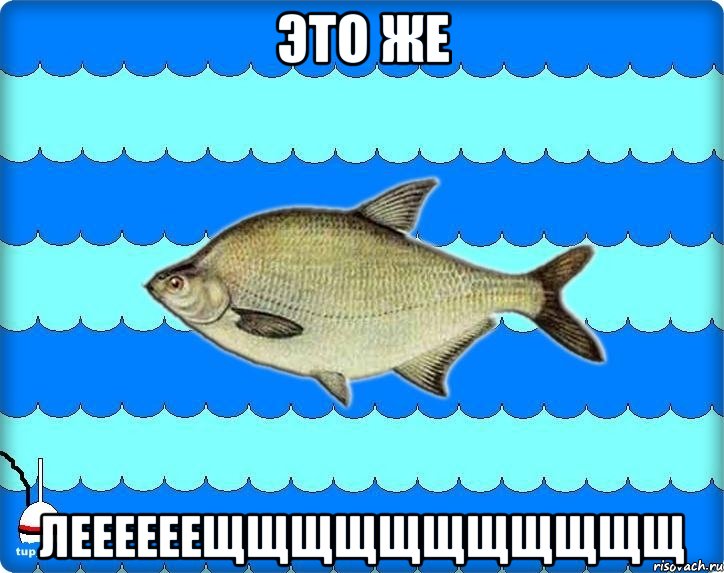 это же леееееещщщщщщщщщщщ