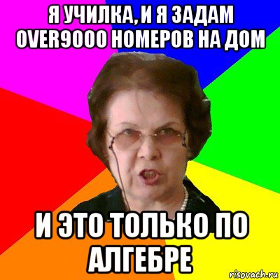 я училка, и я задам over9000 номеров на дом и это только по алгебре, Мем Типичная училка