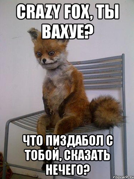 crazy fox, ты вахуе? что пиздабол с тобой, сказать нечего?, Мем Упоротая лиса