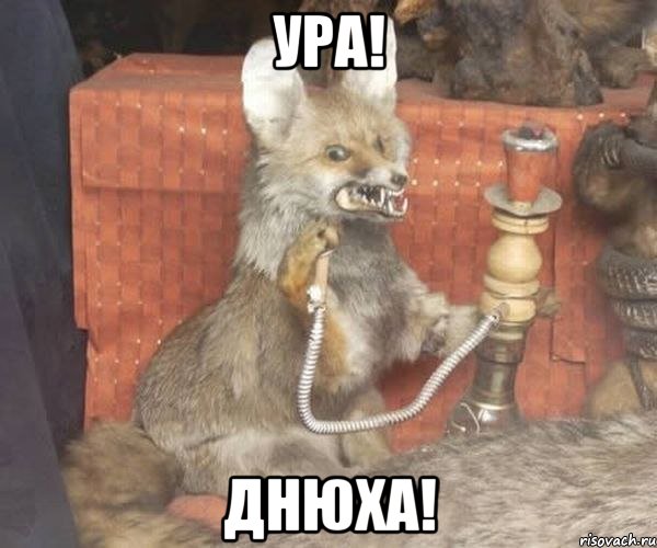 ура! днюха!