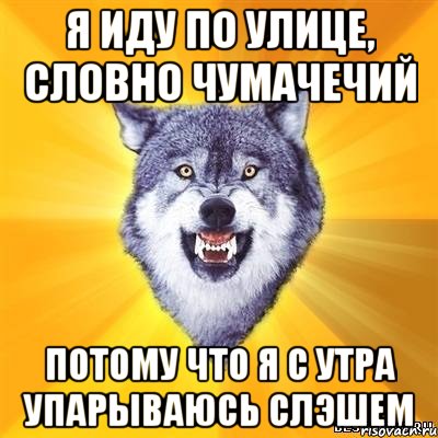 я иду по улице, словно чумачечий потому что я с утра упарываюсь слэшем, Мем Волк