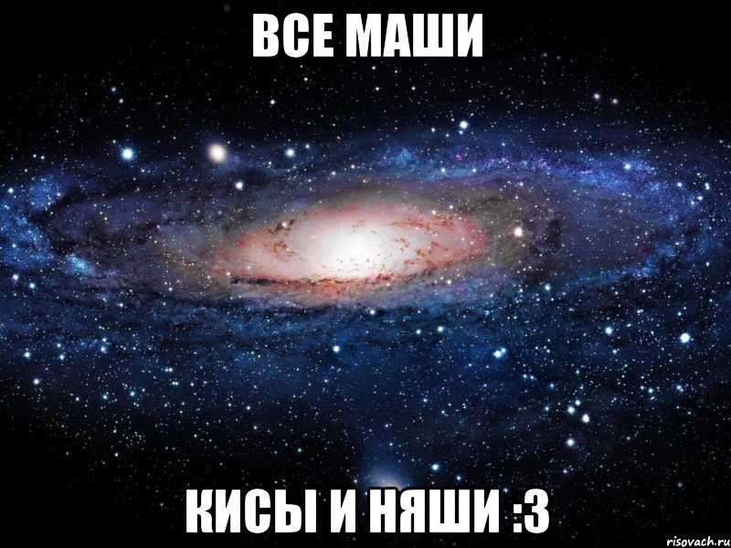 все маши кисы и няши :3, Мем Вселенная