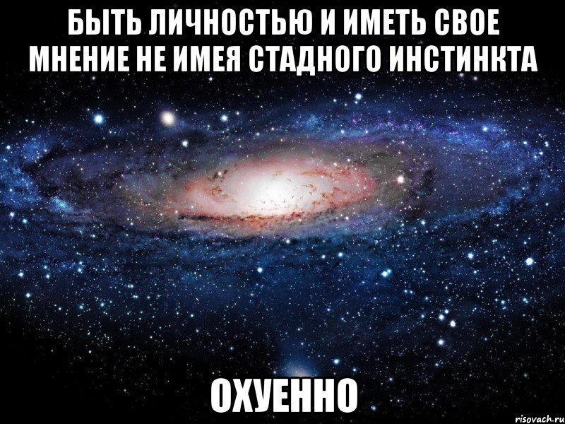 быть личностью и иметь свое мнение не имея стадного инстинкта охуенно, Мем Вселенная