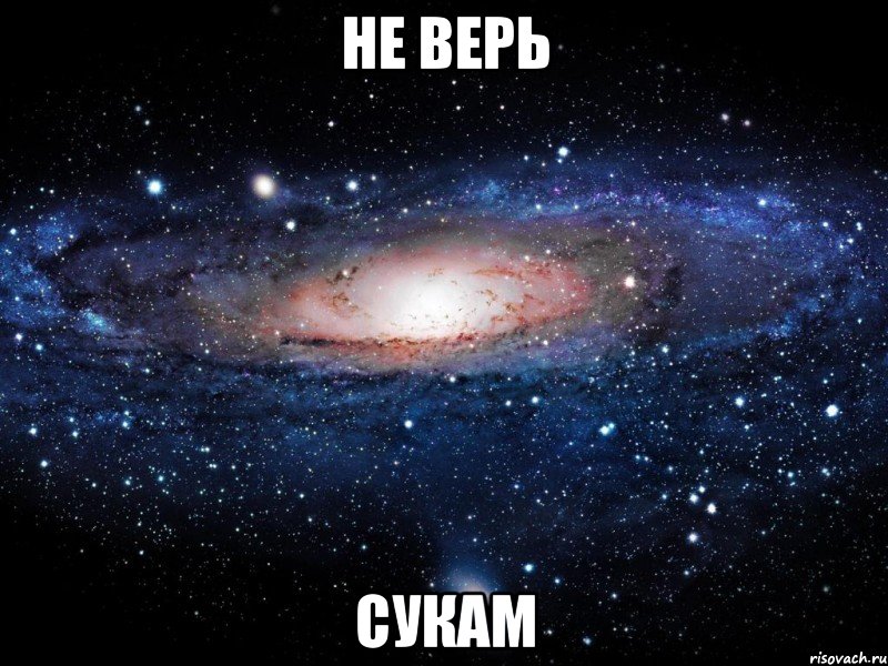 не верь сукам, Мем Вселенная