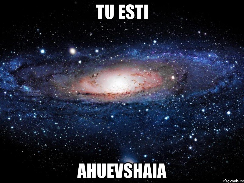 tu esti ahuevshaia, Мем Вселенная