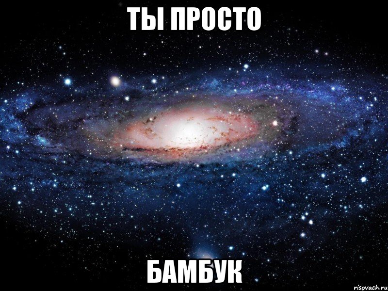 ты просто бамбук, Мем Вселенная