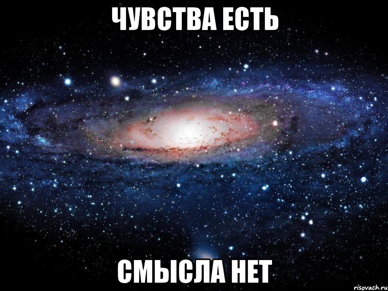 чувства есть смысла нет, Мем Вселенная