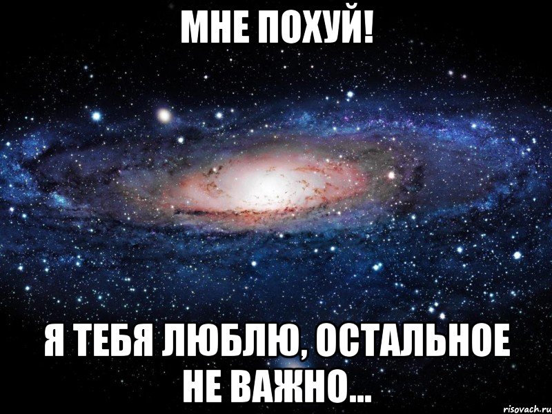 мне похуй! я тебя люблю, остальное не важно..., Мем Вселенная