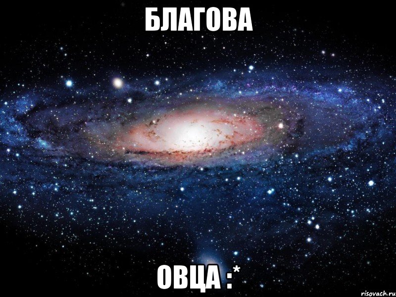 благова овца :*, Мем Вселенная