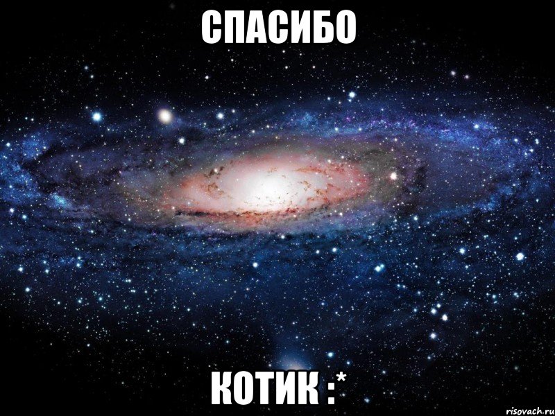 спасибо котик :*, Мем Вселенная