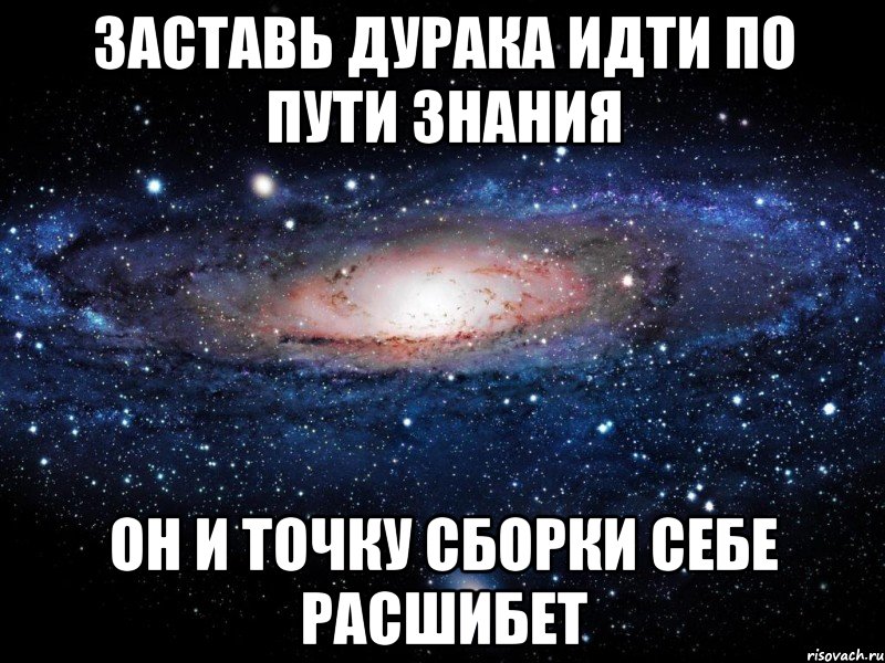 заставь дурака идти по пути знания он и точку сборки себе расшибет, Мем Вселенная