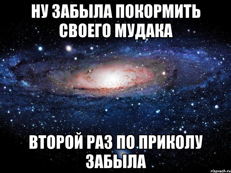 ну забыла покормить своего мудака второй раз по приколу забыла, Мем Вселенная