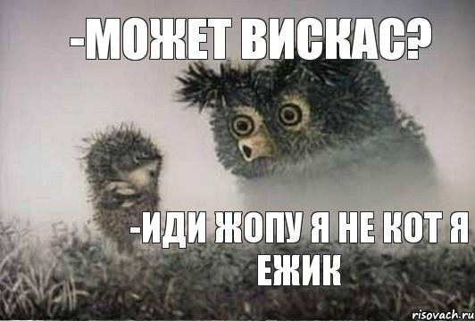 -может вискас? -иди жопу я не кот я Ежик