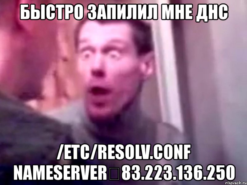 быстро запилил мне днс /etc/resolv.conf nameserver 83.223.136.250, Мем Запили