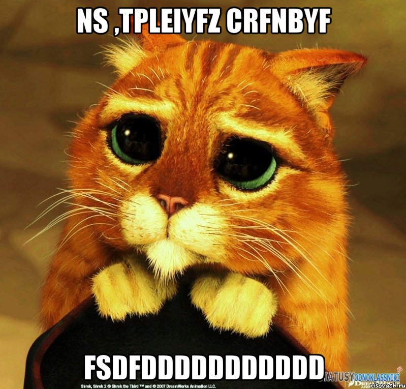 ns ,tpleiyfz crfnbyf fsdfddddddddddd, Мем Котик из Шрека