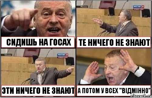 СИДИШЬ НА ГОСАХ ТЕ НИЧЕГО НЕ ЗНАЮТ ЭТИ НИЧЕГО НЕ ЗНАЮТ А ПОТОМ У ВСЕХ "ВІДМІННО", Комикс жиреновский