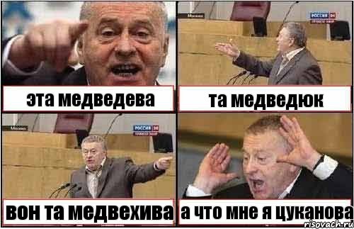 эта медведева та медведюк вон та медвехива а что мне я цуканова, Комикс жиреновский