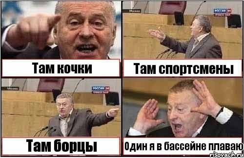 Там кочки Там спортсмены Там борцы Один я в бассейне плаваю, Комикс жиреновский