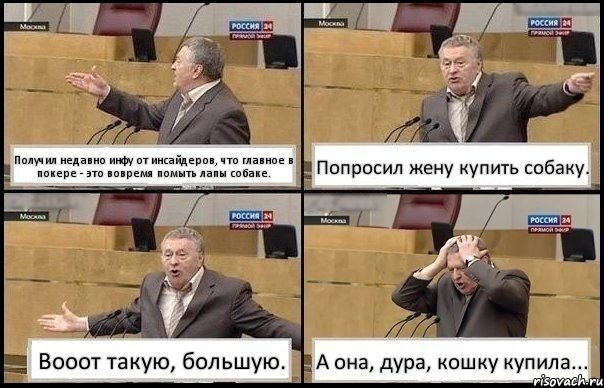 Получил недавно инфу от инсайдеров, что главное в покере - это вовремя помыть лапы собаке. Попросил жену купить собаку. Вооот такую, большую. А она, дура, кошку купила..., Комикс Жирик в шоке хватается за голову