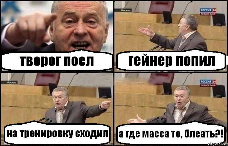 творог поел гейнер попил на тренировку сходил а где масса то, блеать?!, Комикс Жириновский