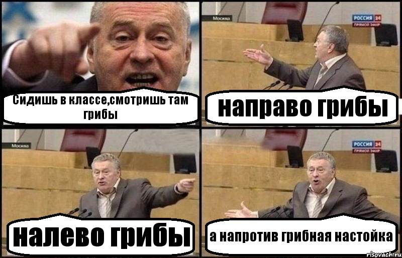 Сидишь в классе,смотришь там грибы направо грибы налево грибы а напротив грибная настойка, Комикс Жириновский