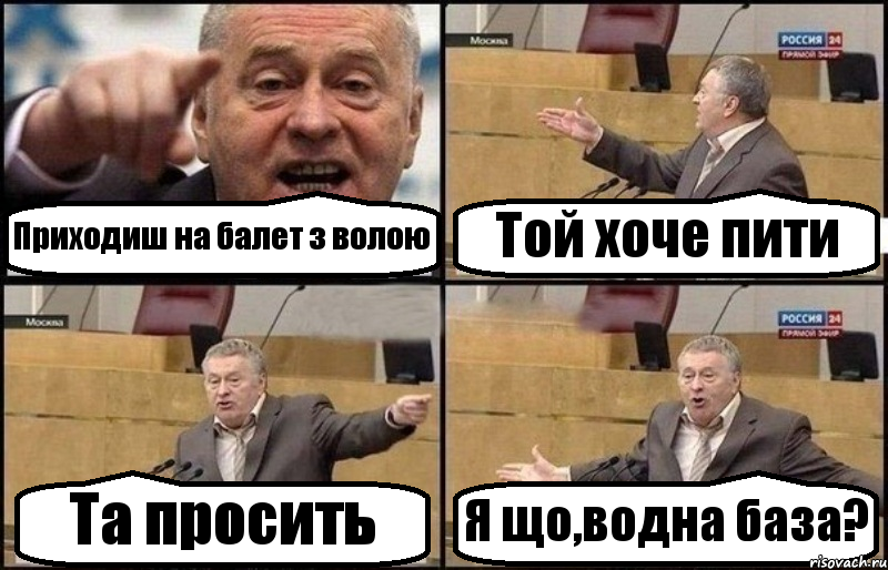 Приходиш на балет з волою Той хоче пити Та просить Я що,водна база?, Комикс Жириновский