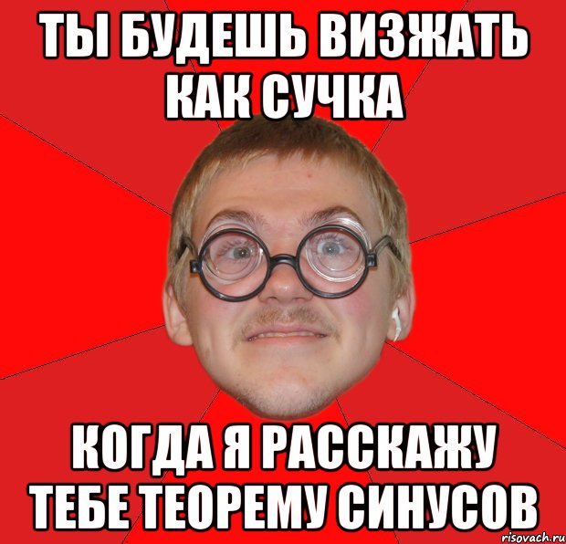 ты будешь визжать как сучка когда я расскажу тебе теорему синусов, Мем Злой Типичный Ботан