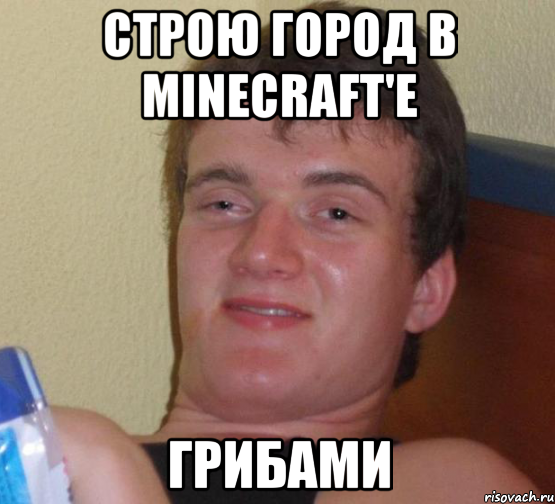 строю город в minecraft'е грибами