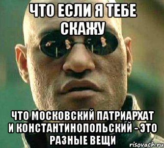 что если я тебе скажу что московский патриархат и константинопольский - это разные вещи