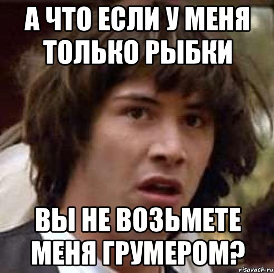 а что если у меня только рыбки вы не возьмете меня грумером?, Мем А что если (Киану Ривз)