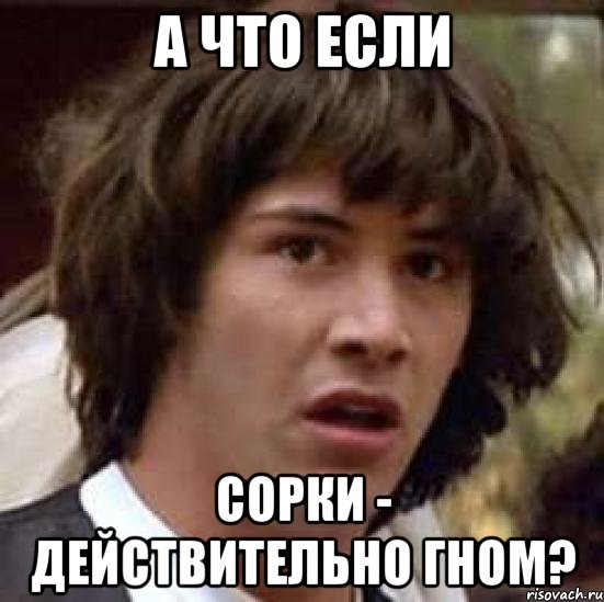 а что если сорки - действительно гном?, Мем А что если (Киану Ривз)