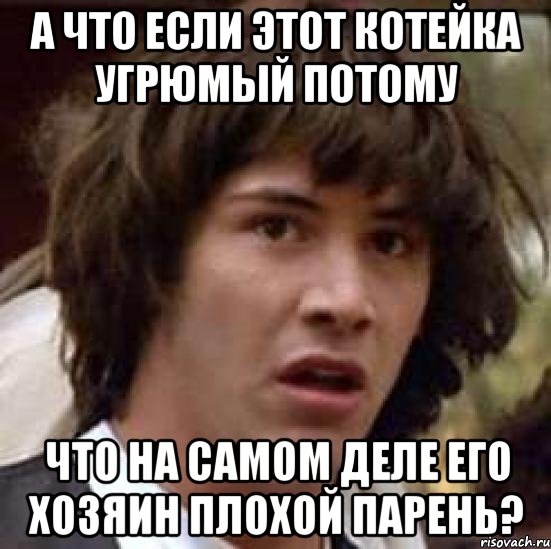 а что если этот котейка угрюмый потому что на самом деле его хозяин плохой парень?, Мем А что если (Киану Ривз)