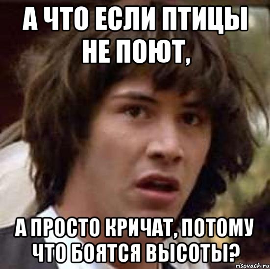 а что если птицы не поют, а просто кричат, потому что боятся высоты?, Мем А что если (Киану Ривз)