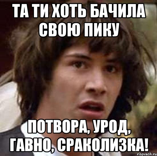 та ти хоть бачила свою пику потвора, урод, гавно, сраколизка!, Мем А что если (Киану Ривз)