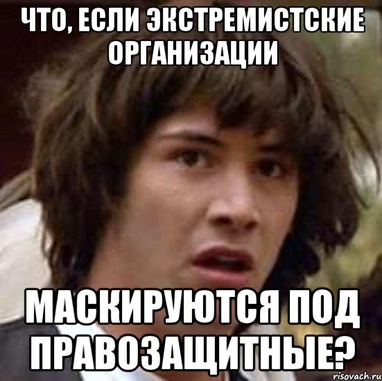 что, если экстремистские организации маскируются под правозащитные?, Мем А что если (Киану Ривз)