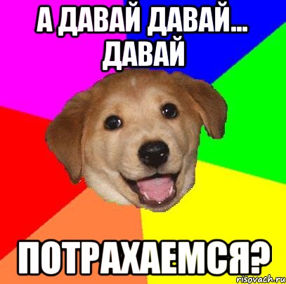 а давай давай... давай потрахаемся?, Мем Advice Dog