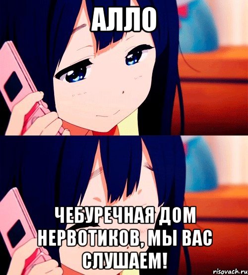 алло чебуречная дом нервотиков, мы вас слушаем!, Мем аллло