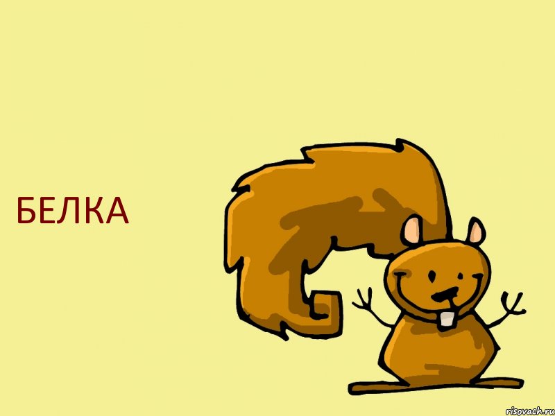 БЕЛКА, Комикс  белка