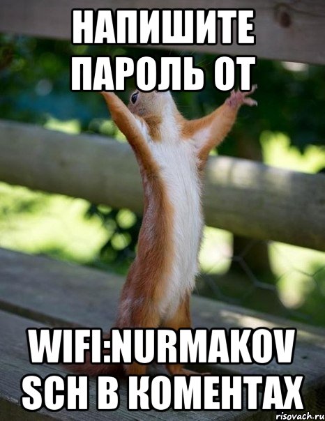 напишите пароль от wifi:nurmakov sch в коментах, Мем    белка молится