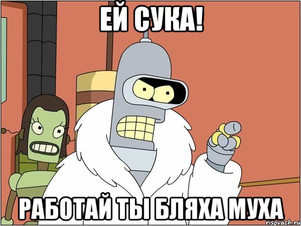 ей сука! работай ты бляха муха, Мем Бендер