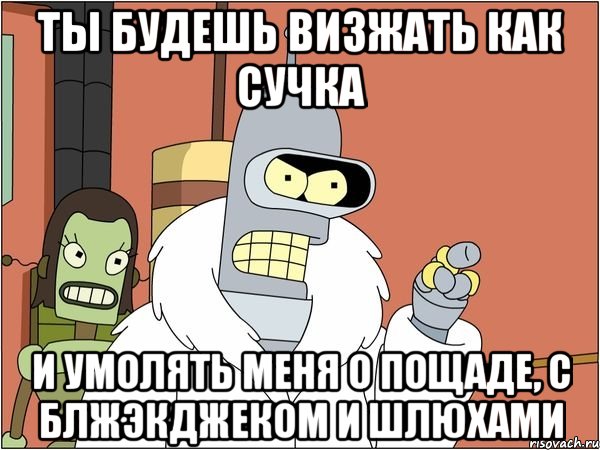 ты будешь визжать как сучка и умолять меня о пощаде, с блжэкджеком и шлюхами, Мем Бендер