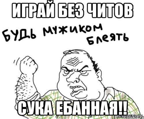 играй без читов сука ебанная!!, Мем блять