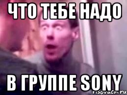 что тебе надо в группе sony