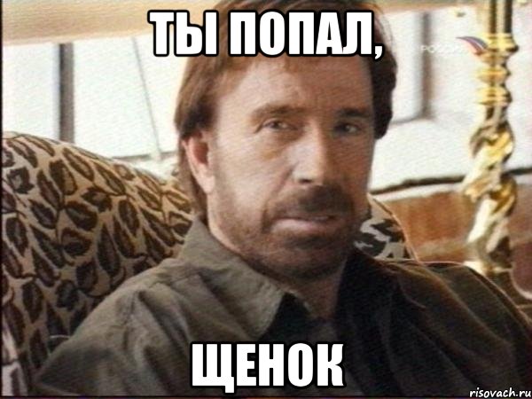 ты попал, щенок