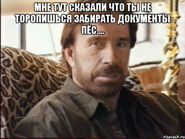мне тут сказали что ты не торопишься забирать документы пёс.... 