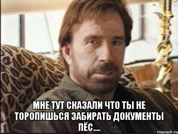  мне тут сказали что ты не торопишься забирать документы пёс....