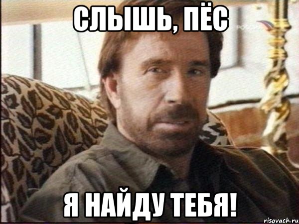 слышь, пёс я найду тебя!